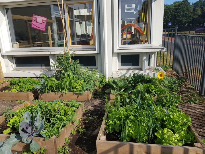 Werken Moestuin